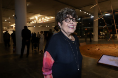 Regina Silveira