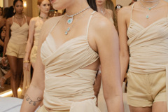Desfile