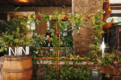 Evento-NIINI_Creditos-@lecanovo-1