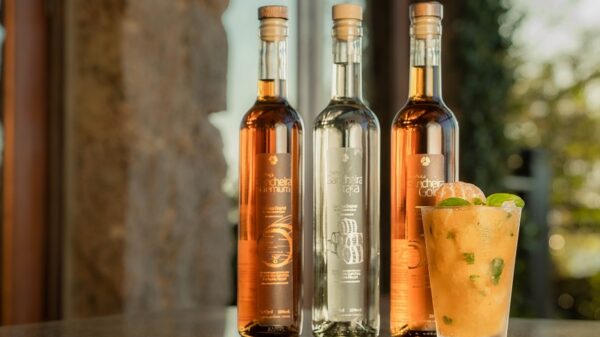 Ponta dos Ganchos Resort