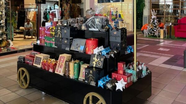 Kopenhagen Shopping Paseo