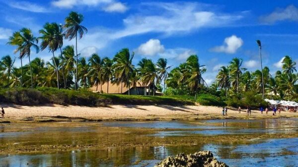 Festival Tempero do Forte