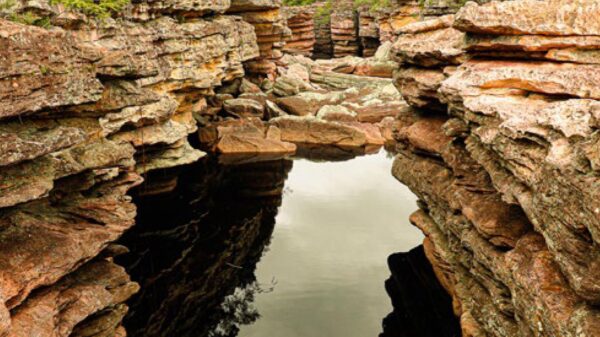 Foto de Sandra Tegerizo