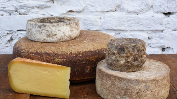 Queijo pardinho da Fazenda Sant´Anna - divulgação