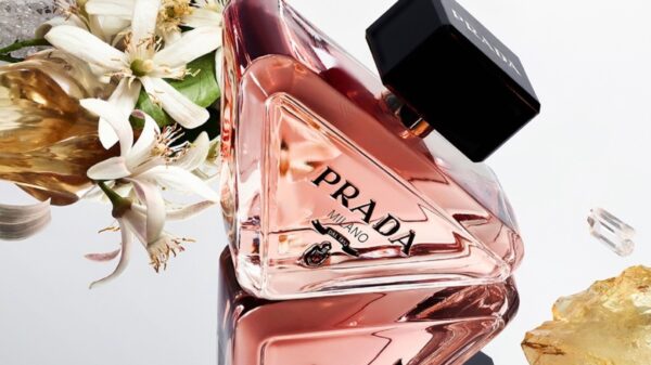 Prada Paradoxe