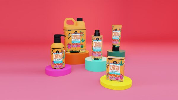 Linha “Chapada que já foi mar” em homenagem a Chapada Diamantina