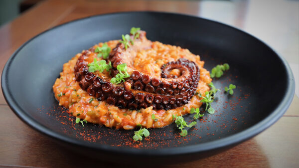 Risoto de tomates carnudos e polvo