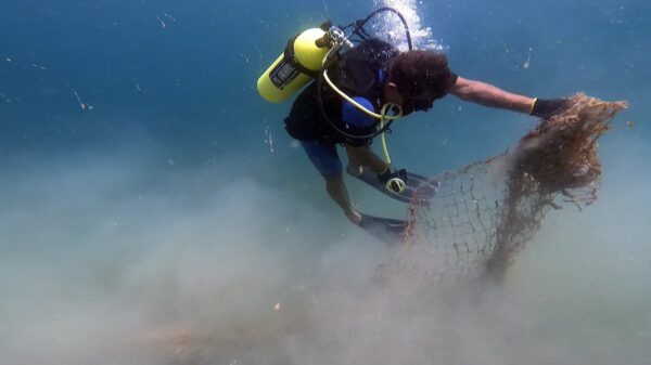 Limpeza submarina - Foto | Afonso Santana