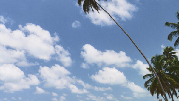 Praia-do-Patacho-Alagoas-Copy-of-DSC00208