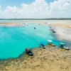 Praia do Patacho, em Alagoas, é uma das preciosidades