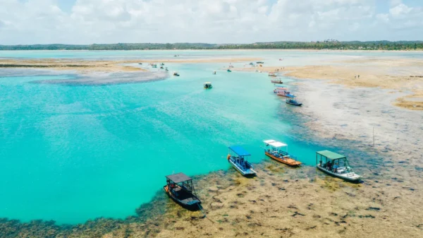 Praia do Patacho, em Alagoas, é uma das preciosidades