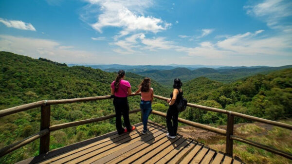 De acordo com a Forbes Advisor, o Brasil foi o país com maior biodiversidade entre todos os destinos pesquisados