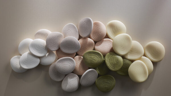 Natura Biome - Divulgação