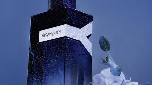 Y Eau de Parfum Intense - Divulgação