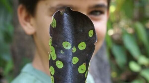 link (1)_Easy-Resize.com