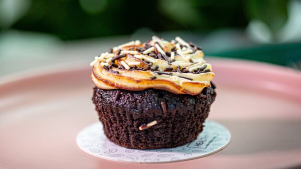 Fotos | Pedro Cidreira