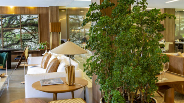 SEGUNDA PLANTA_Créditos André Luiz Sá Gomes (1)