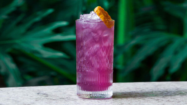 Fotos | Divulgação A&G Plus