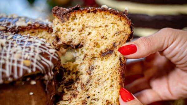 Fotos | Divulgação