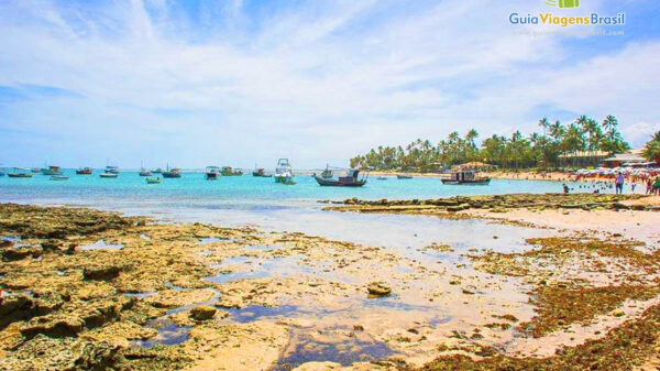 praia do lord praia do forte