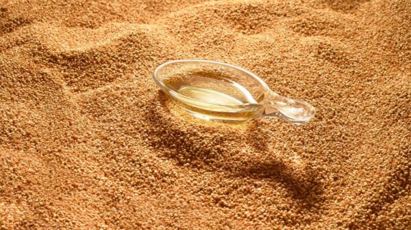 Nativa SPA - Divulgação