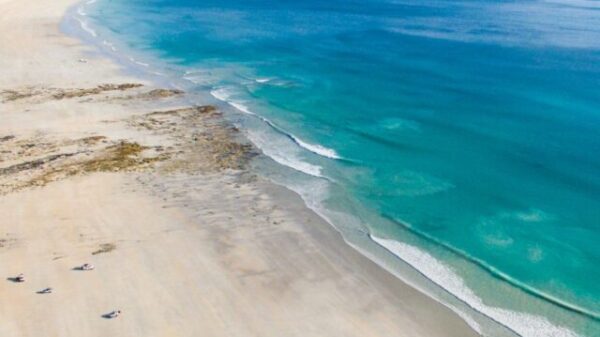 shutterstock_483623755-scaled