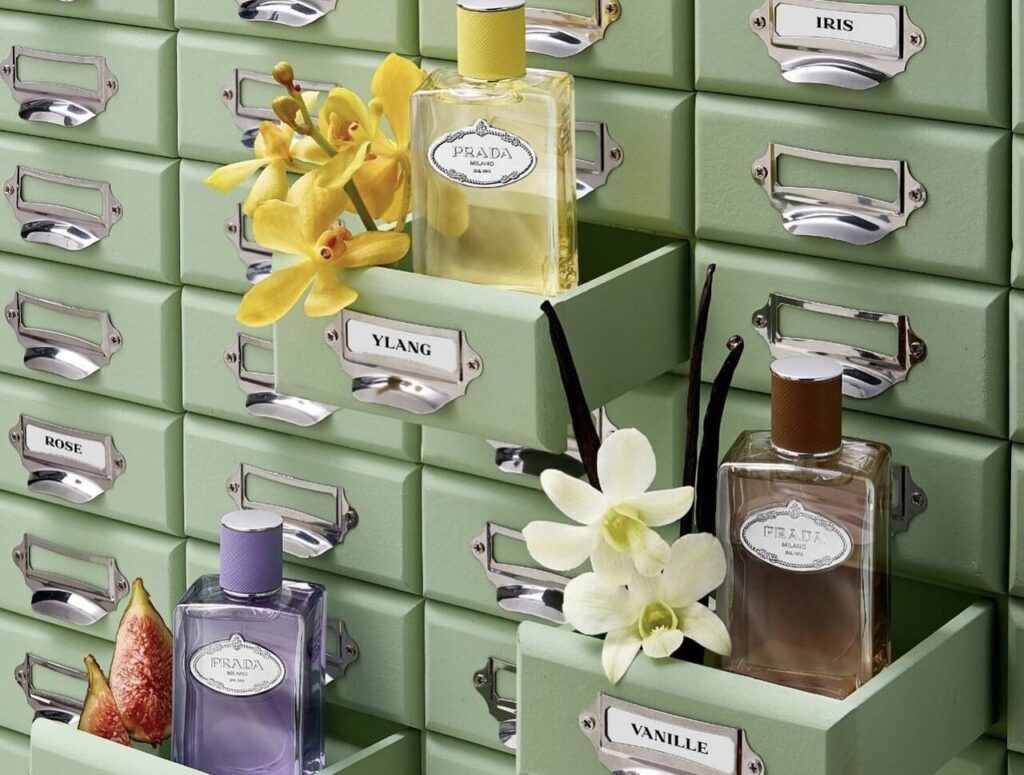 Prada Les Infusions - Divulgação