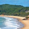 Praia do Madeiro, em Tibau do Sul (RN) - Foto | Divulgação