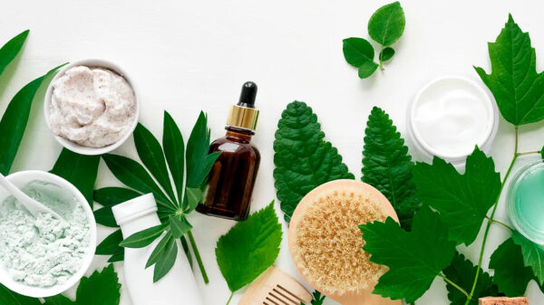 Cosmetologia Natural - Crédito: Divulgação