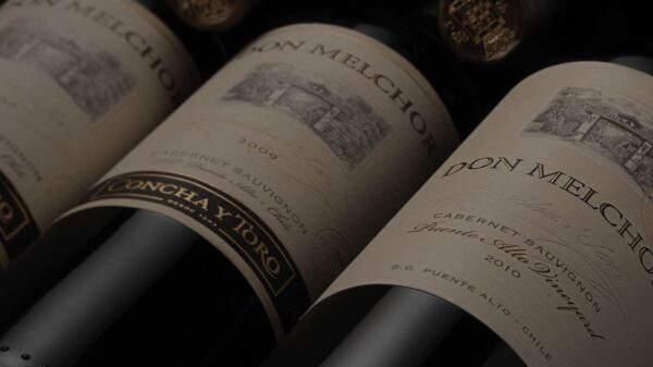 Don Melchor 2021 - Divulgação