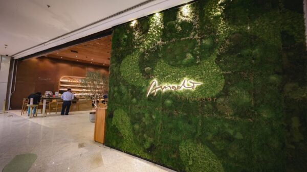 Amado Salvador - Divulgação