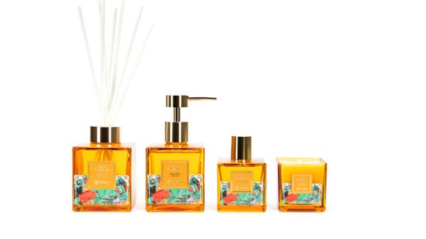 Collab Avatim e Amir Slama - Divulgação