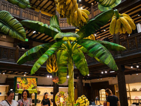 Granado leva Yes, Nós Temos Banana! à Liberty London - Divulgação