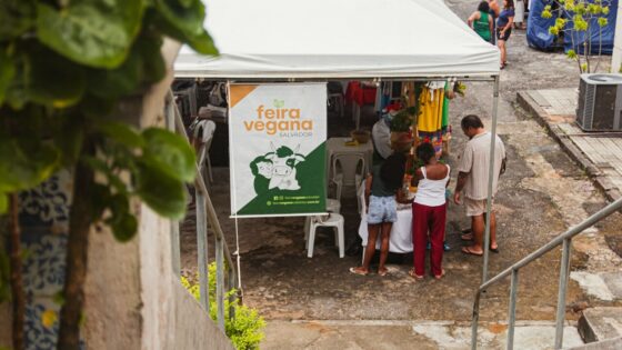 Feira Vegana segue no MAB