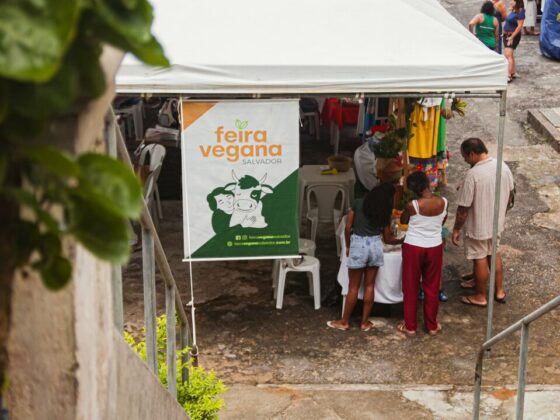 Feira Vegana segue no MAB